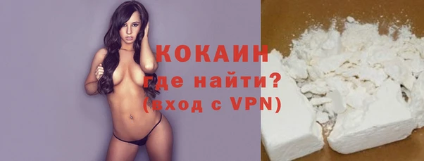 сатива Чердынь